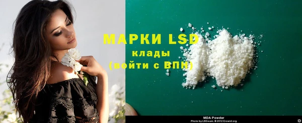 индика Баксан