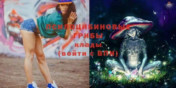 индика Баксан
